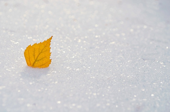 winterproof paving